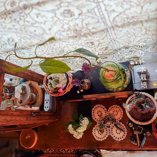 akaidarumaさんの実例写真