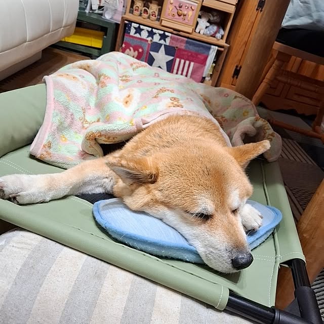 nanaさんの実例写真