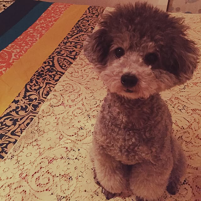 nayuu1008さんの実例写真