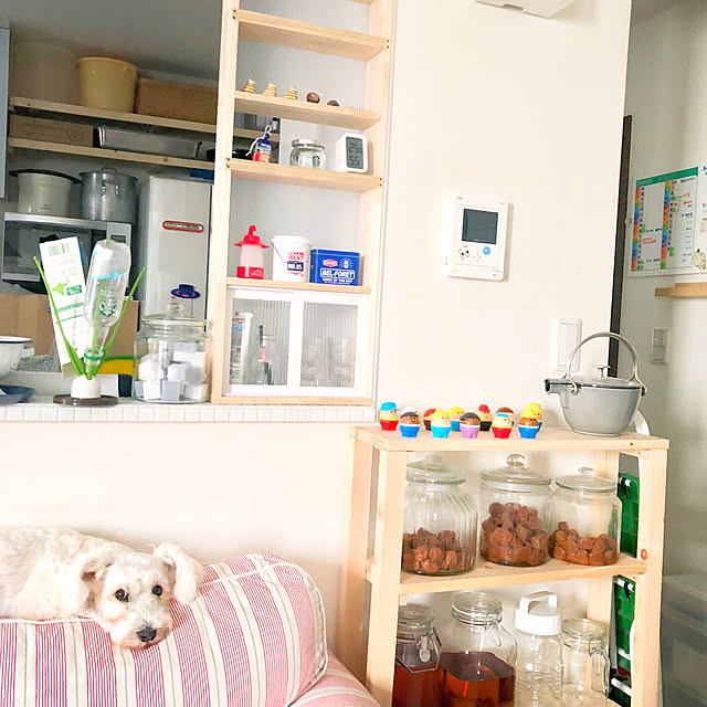 suzyさんの実例写真