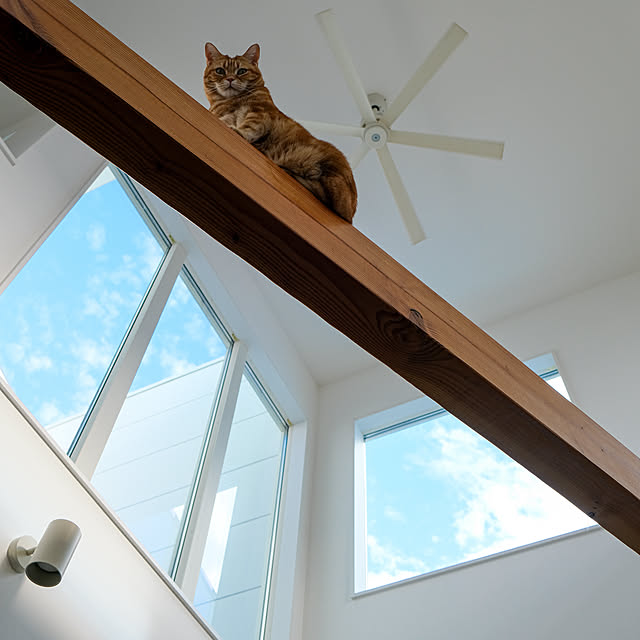 shiiiさんの実例写真