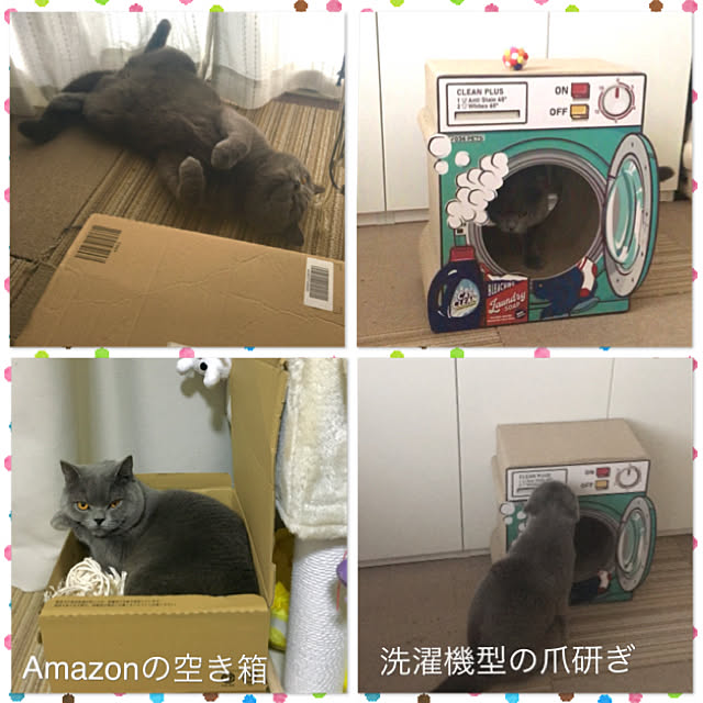 kittyさんの実例写真