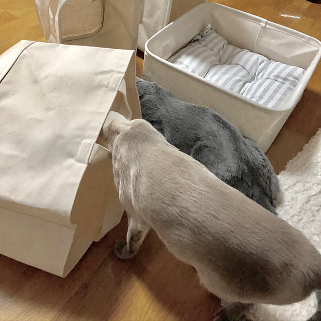 mujinekoさんの実例写真