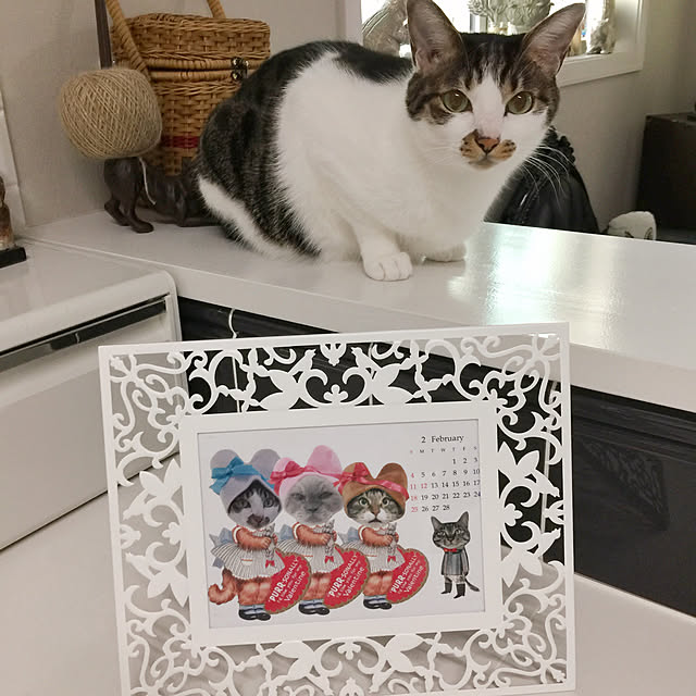 yuchiさんの実例写真