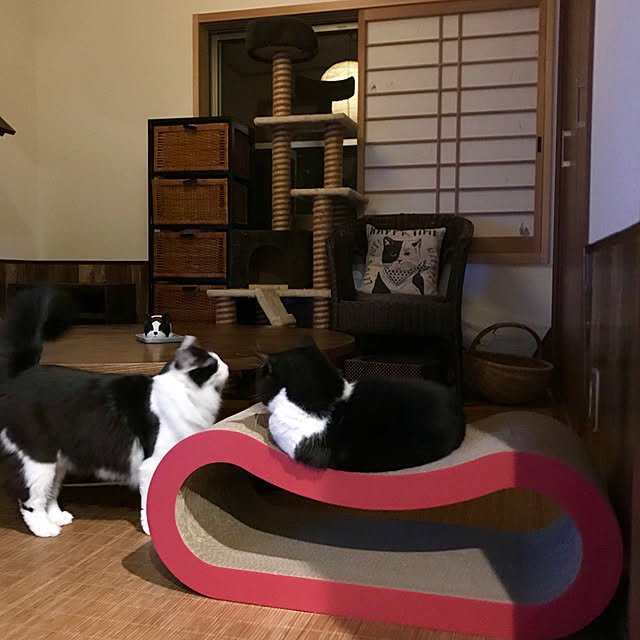 butachanさんの実例写真