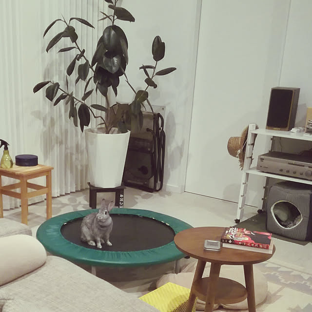moopeeさんの実例写真