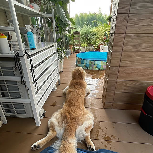 marinkoさんの実例写真