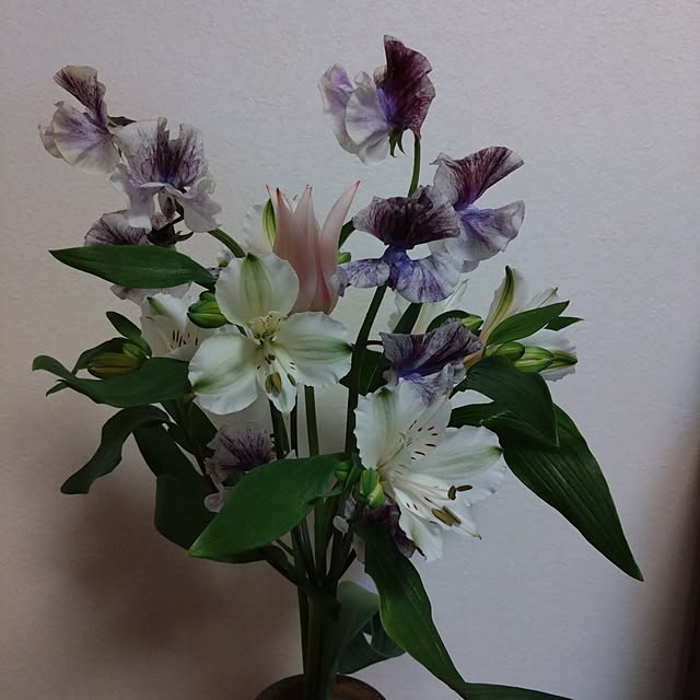 jkabmymycatさんの実例写真