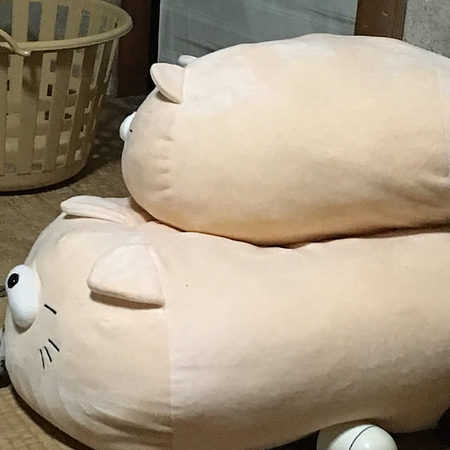 mayumayuさんの実例写真
