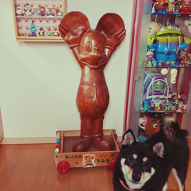 xxxakyxxxさんの実例写真