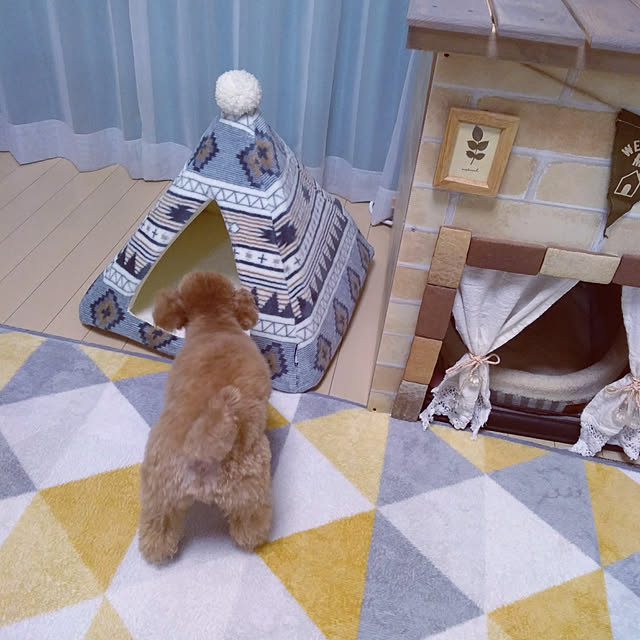 Samさんの実例写真