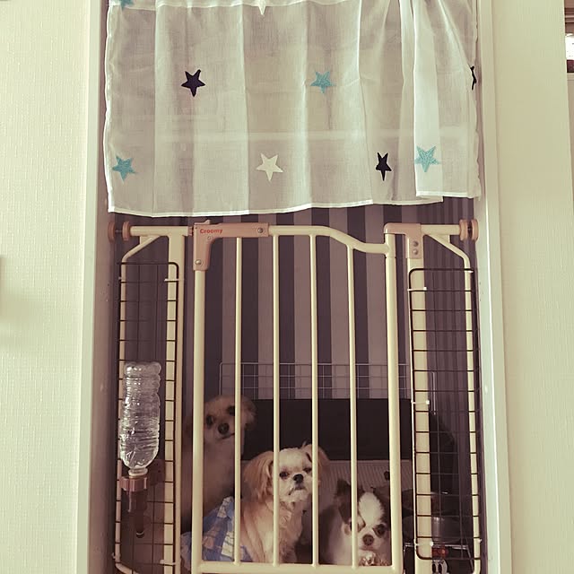 shizutanさんの実例写真