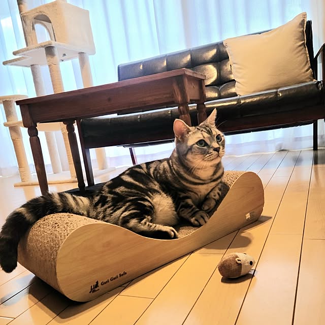 lovepeaceさんの実例写真