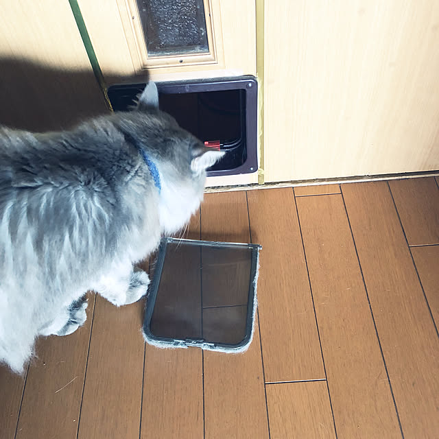 naworinさんの実例写真
