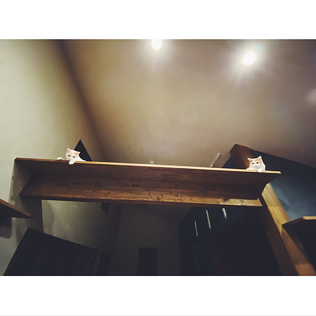 saさんの実例写真