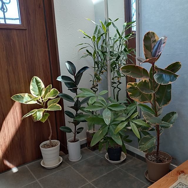 ri-eさんの実例写真