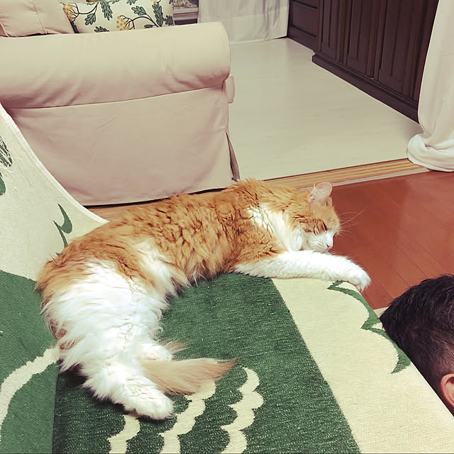 uchidaizuさんの実例写真