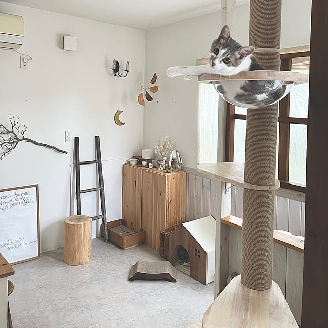 comiriさんの実例写真