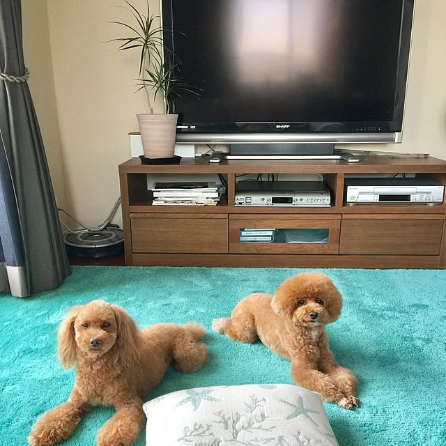 simbaさんの実例写真