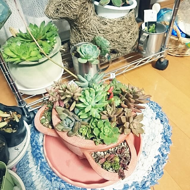 emimimatsumotoさんの実例写真