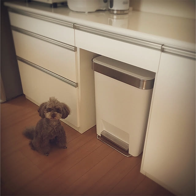 miwaさんの実例写真