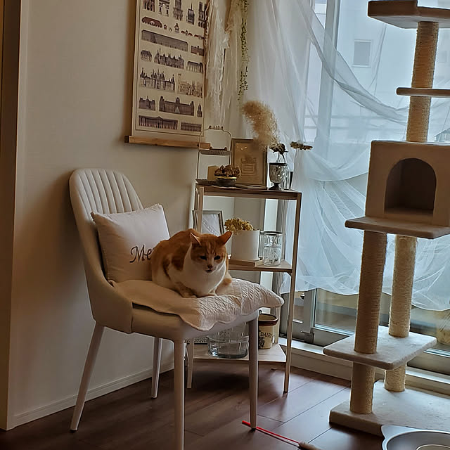 mimi5さんの実例写真