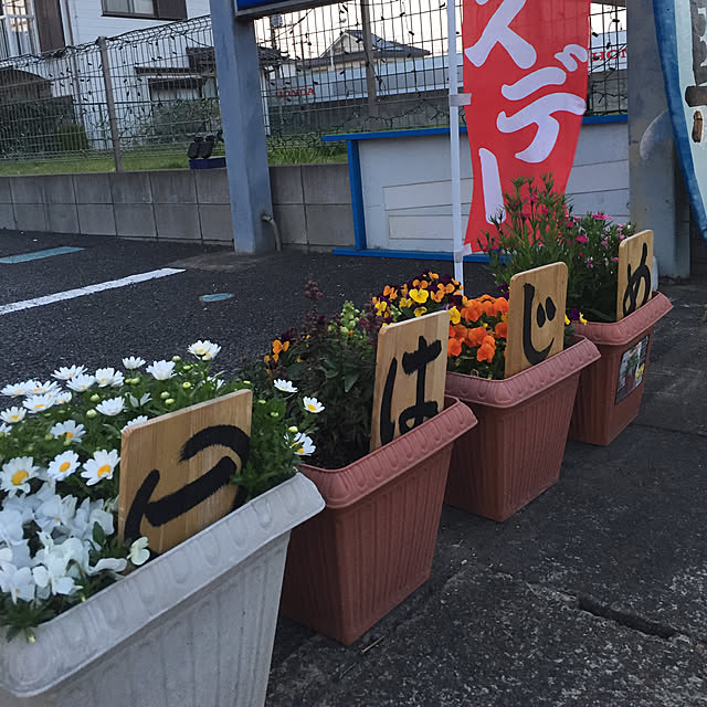 実例写真