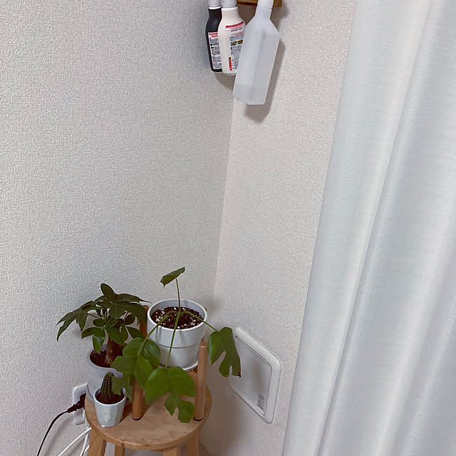 cccさんの部屋
