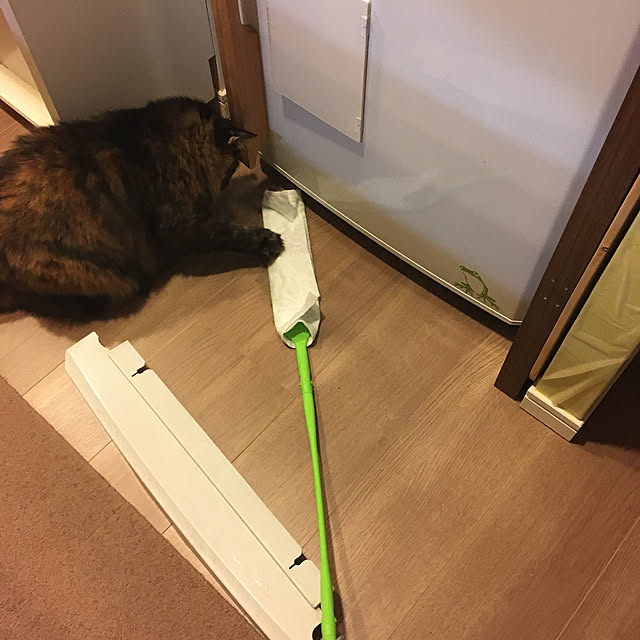 mikomaruさんの実例写真