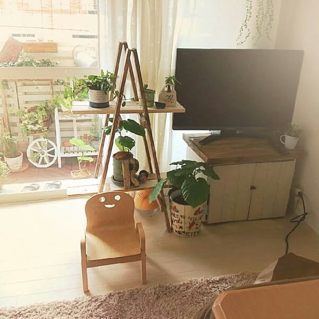 実例写真