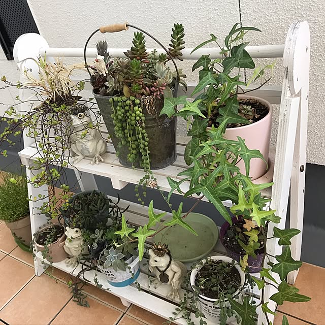 chiさんの実例写真