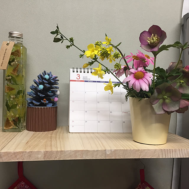 ginnnanさんの実例写真