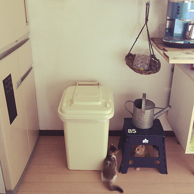 chicchiさんの実例写真