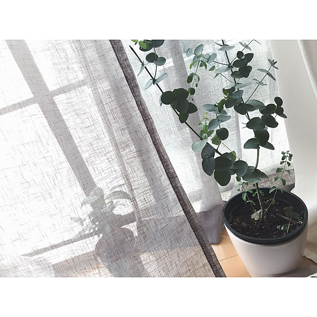 t_nishさんの実例写真