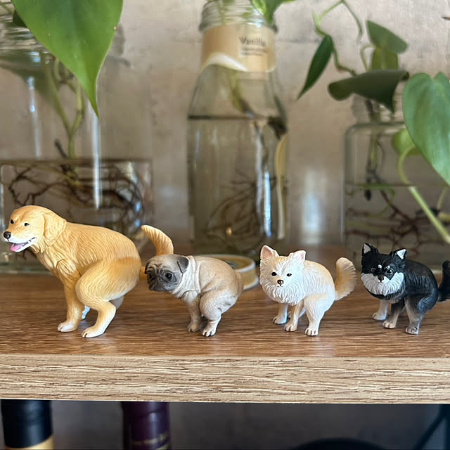 TOTOTOさんの実例写真