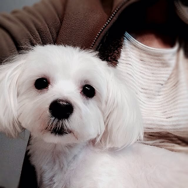 mariaさんの実例写真