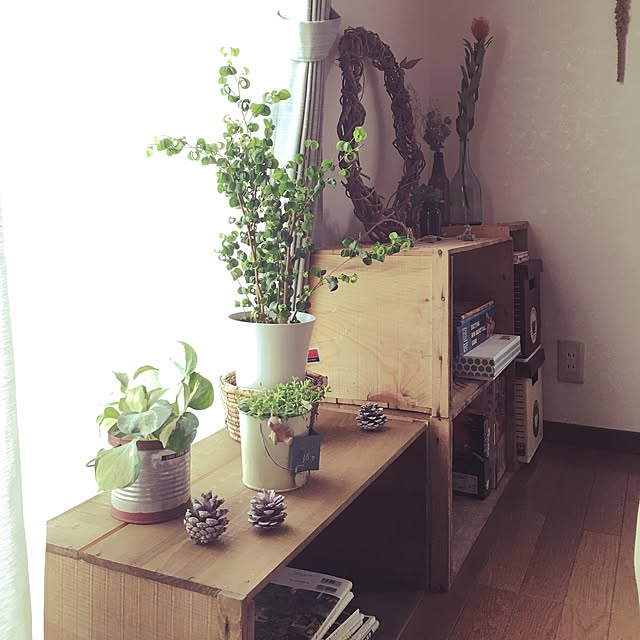 yukkaさんの実例写真