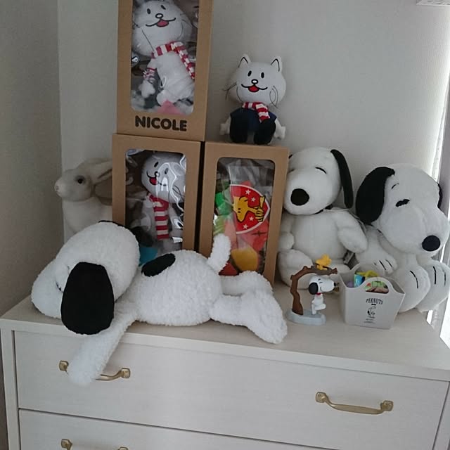 nijintieloveさんの実例写真