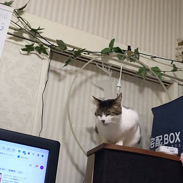 merisannさんの実例写真