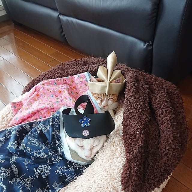NOAHさんの部屋