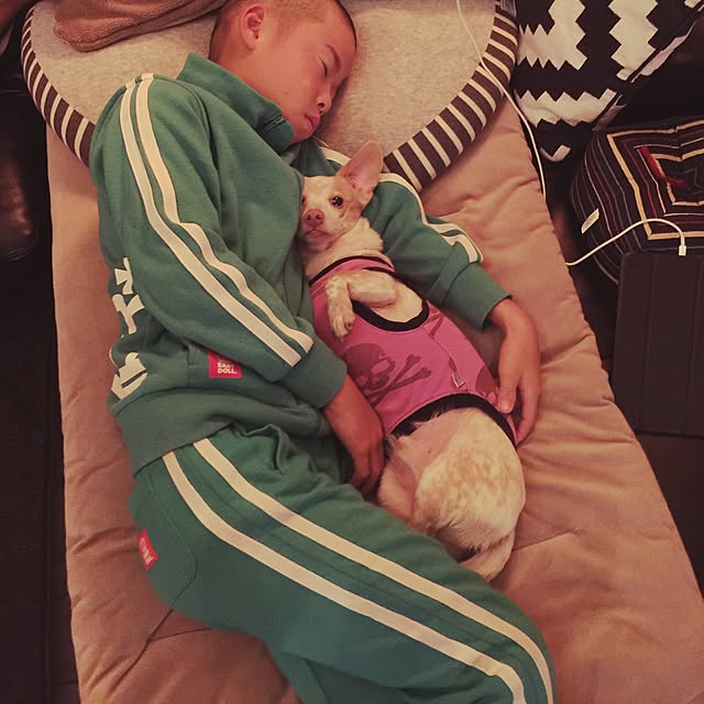 Risaさんの実例写真