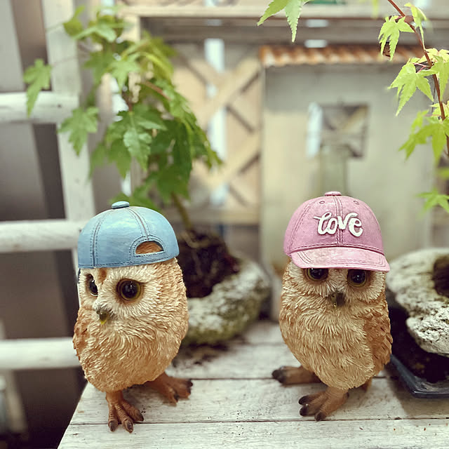 asako.10さんの部屋