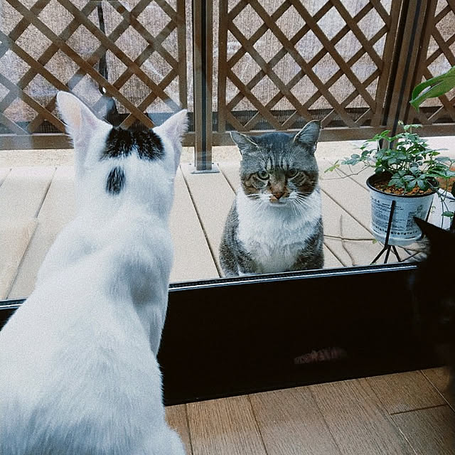 kumiさんの実例写真