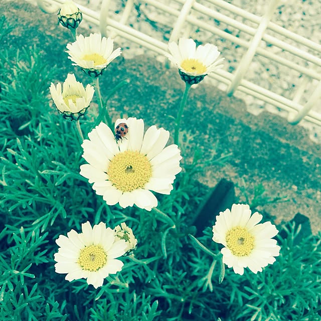 atsu31さんの実例写真
