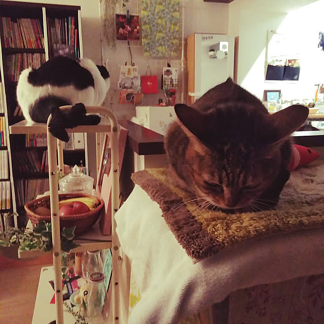 futukoさんの実例写真