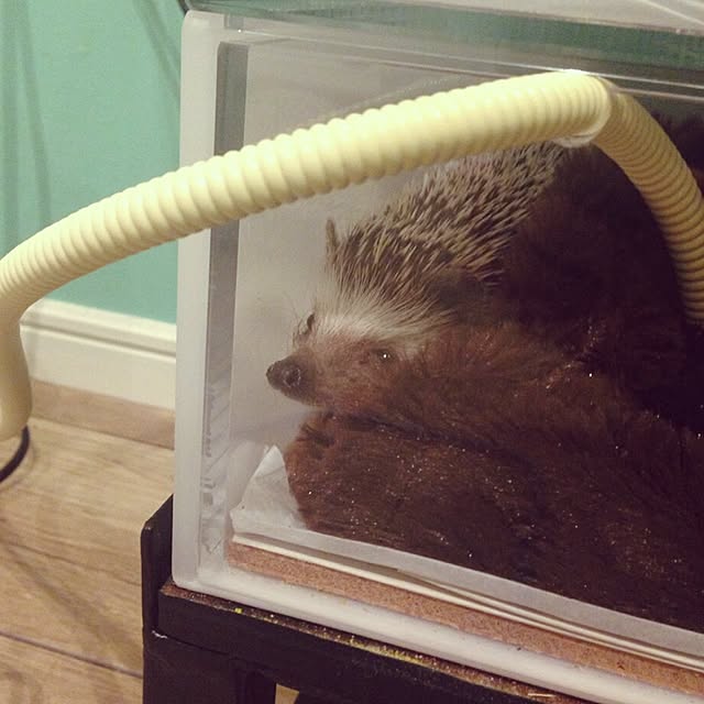 ctaさんの実例写真