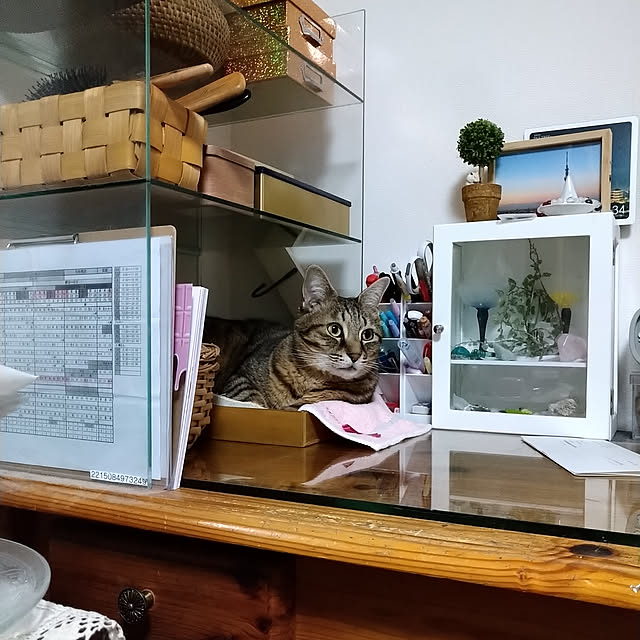 mamiさんの実例写真