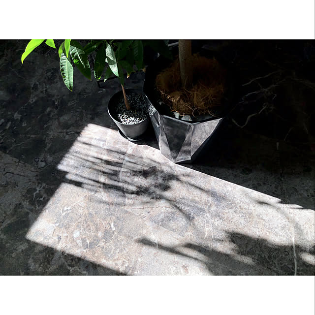 大理石調/ラグ/観葉植物/インダストリアルインテリア/植物...などのインテリア実例 - 2021-10-11 19:09:39