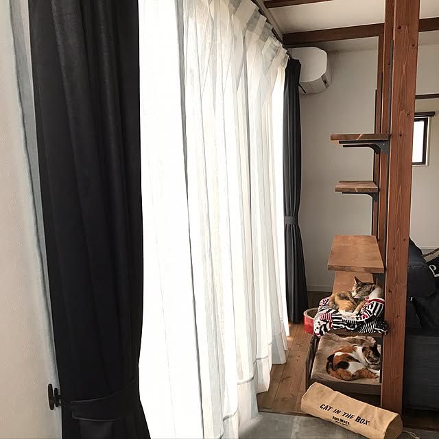 Nozomiさんの実例写真