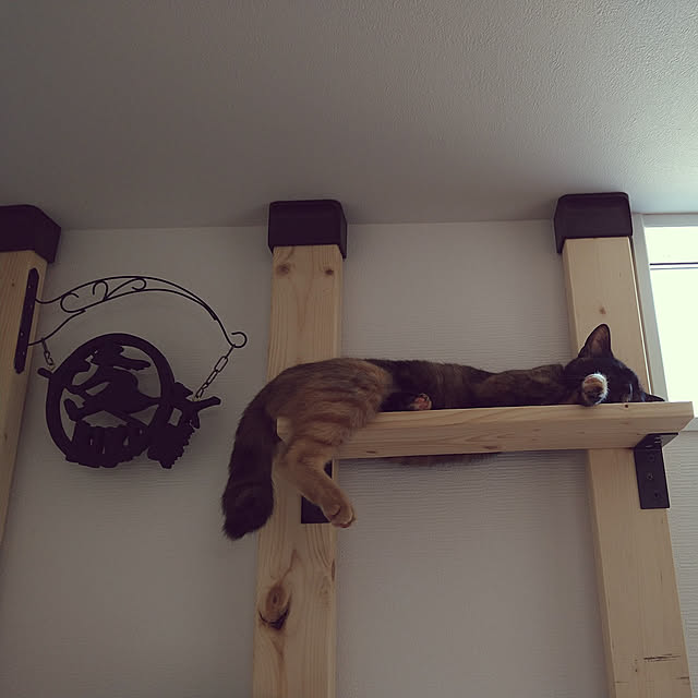 mamekoさんの実例写真